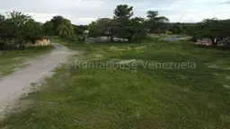 View 44