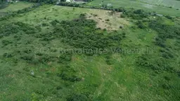 View 10