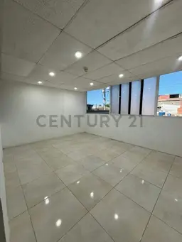 Vista 5