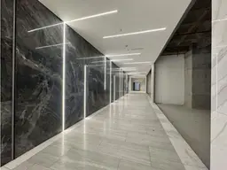 Vista 4