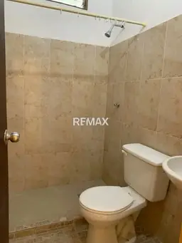 Vista 5