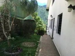View 40
