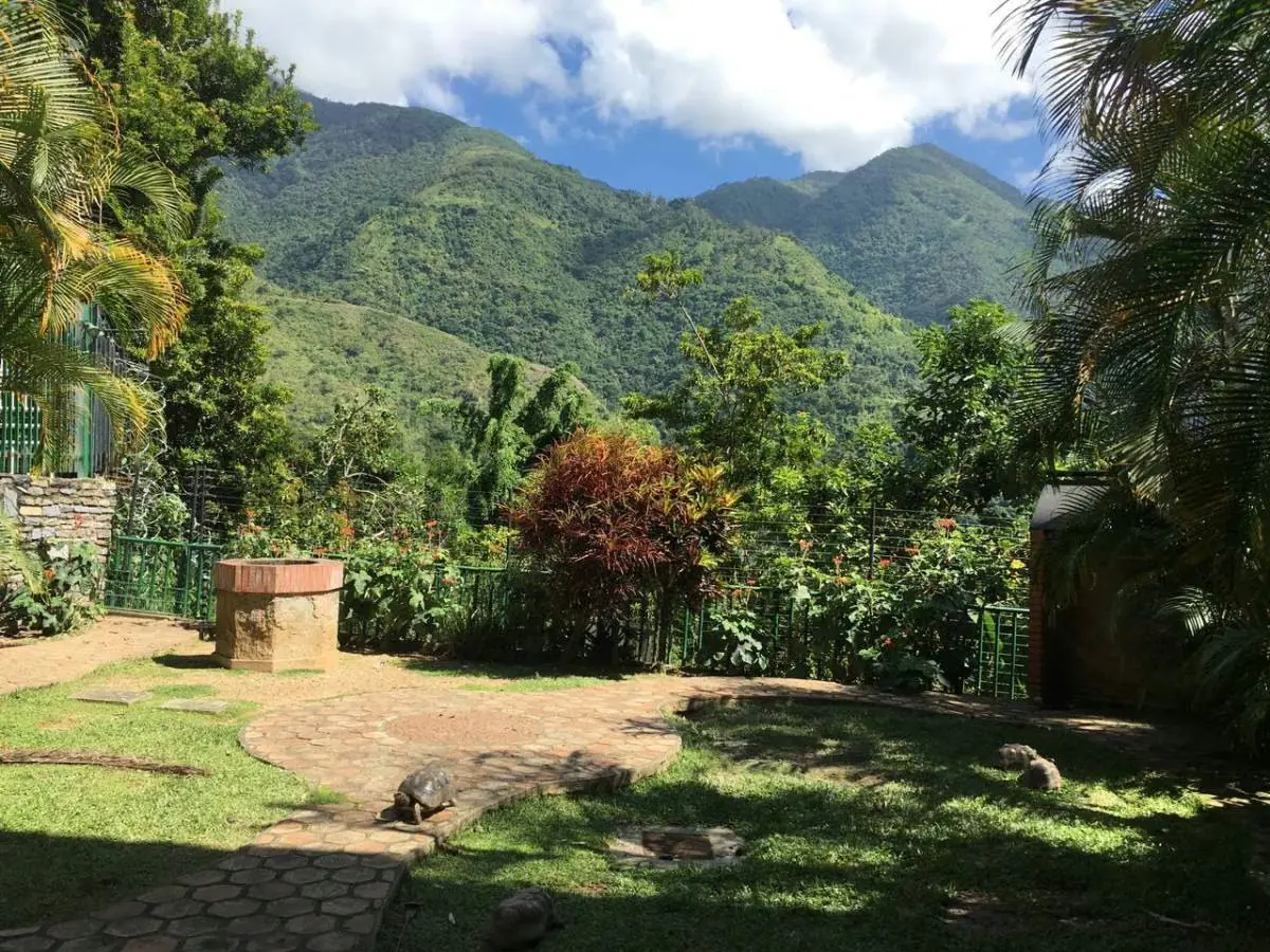 PV - Venta de Casa en la Urb. Miranda con vista al Ávila - 43
