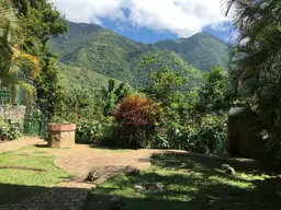 View 43