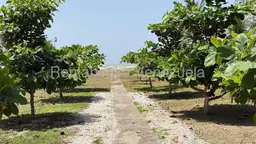 View 30