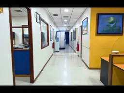 Vista 4