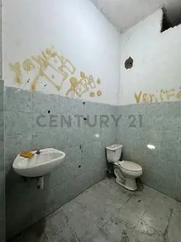 Vista 4