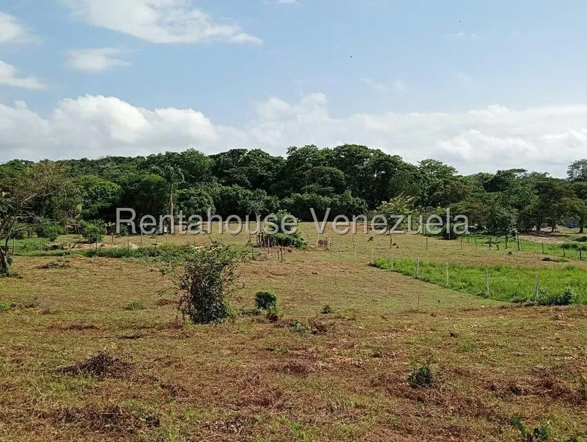 Terreno (Residencial) en Venta en Los Naranjillos, Lara - 5