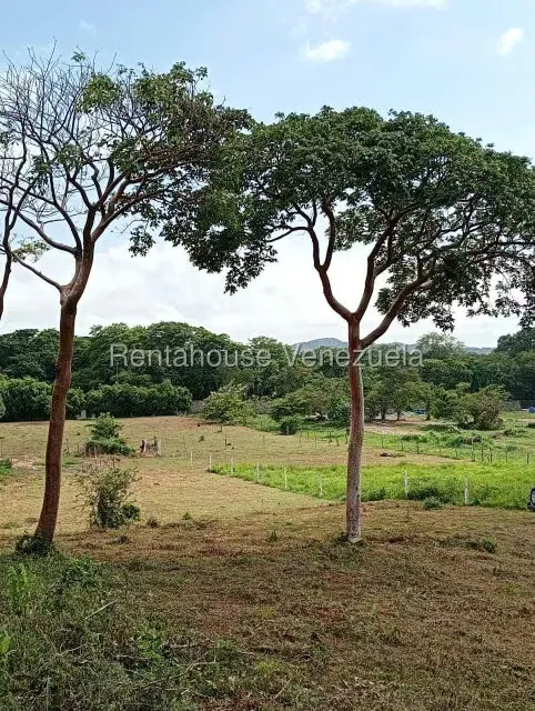 Terreno (Residencial) en Venta en Los Naranjillos, Lara - 6