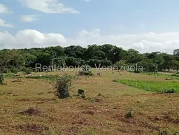 Vista 7