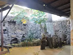 View 11