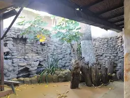 View 12