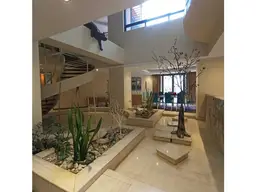 Vista 19