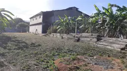 View 10