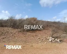 View 7