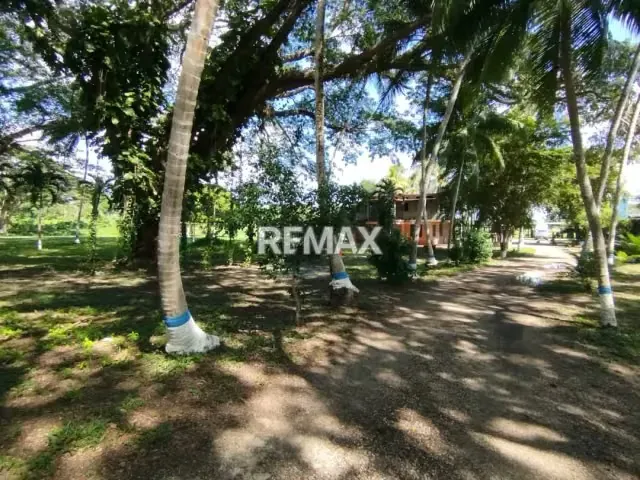 EN VENTA, Finca 100% Operativa y Capitalizada EN EL ALTO, YARACAL. - 11