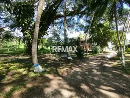 View 11