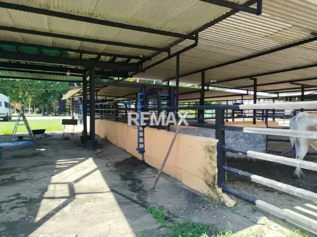EN VENTA, Finca 100% Operativa y Capitalizada EN EL ALTO, YARACAL. - 13