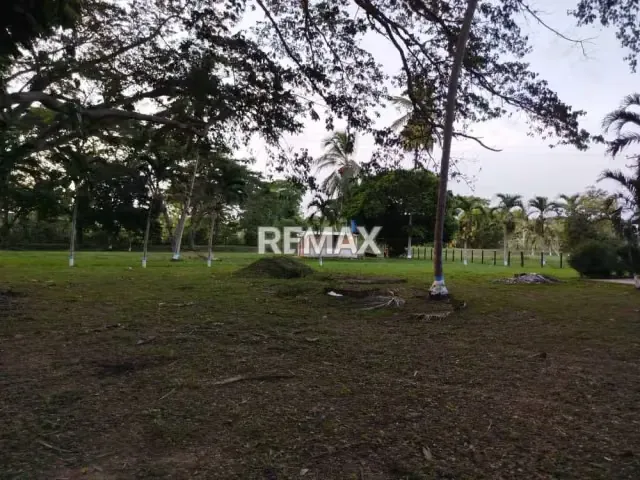 EN VENTA, Finca 100% Operativa y Capitalizada EN EL ALTO, YARACAL. - 16