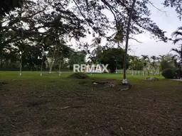 View 16