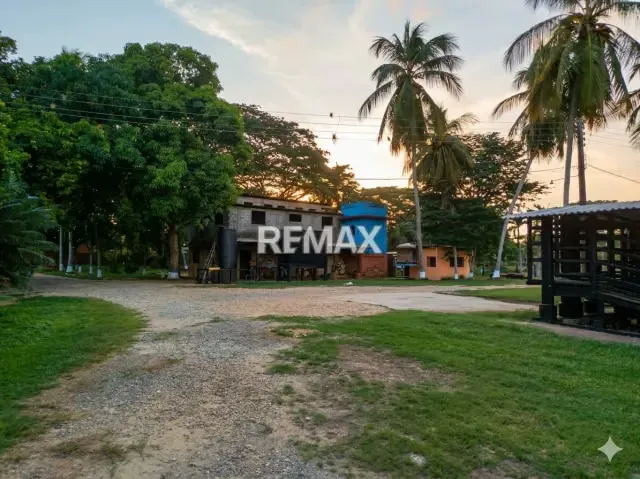 EN VENTA, Finca 100% Operativa y Capitalizada EN EL ALTO, YARACAL. - 3