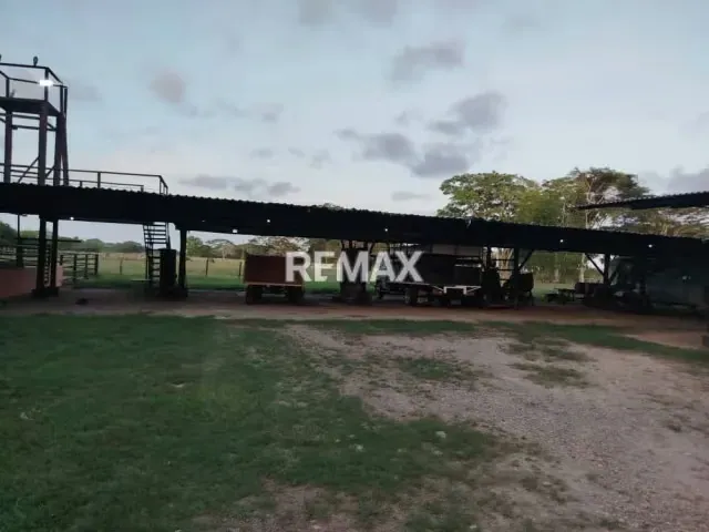 EN VENTA, Finca 100% Operativa y Capitalizada EN EL ALTO, YARACAL. - 5