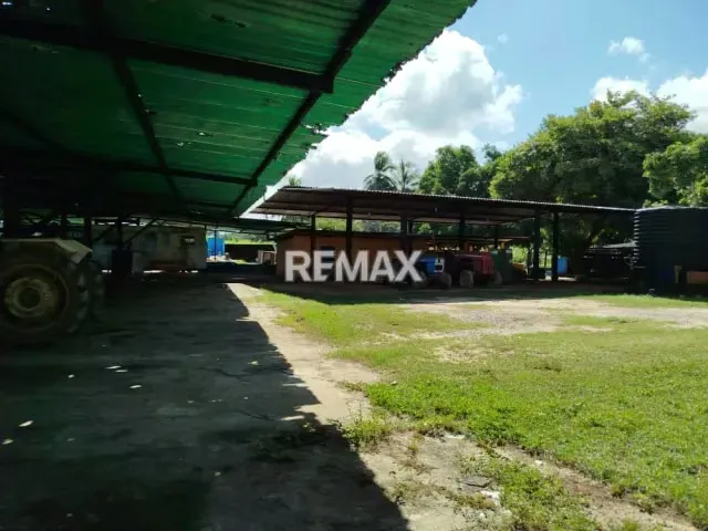 EN VENTA, Finca 100% Operativa y Capitalizada EN EL ALTO, YARACAL. - 10
