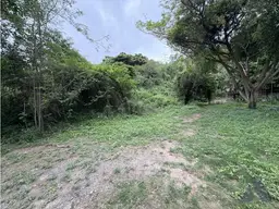 View 4