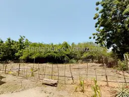 View 27