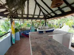 View 51