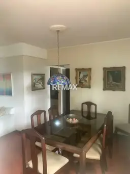Vista 5