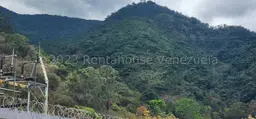 Vista 5