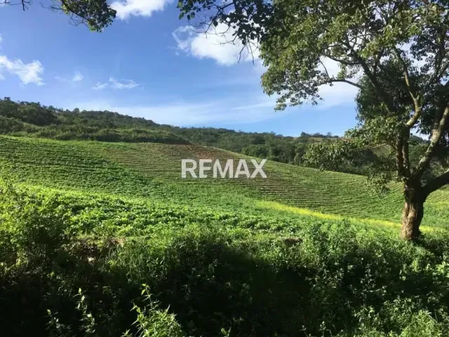 SE VENDE TERREN EN CABUDARE -SECTOR TAMARINDO - 3