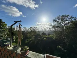 Vista 19