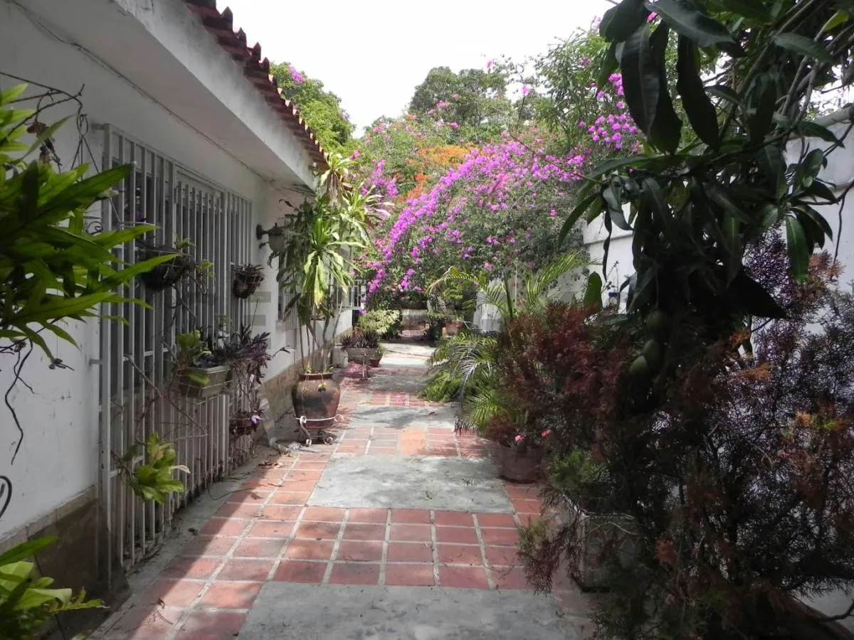 Amplia Casa con Terreno en la Avenida Circunvalación Norte, Sector Cruz Grande - 3