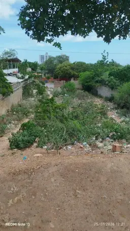 Vista 6