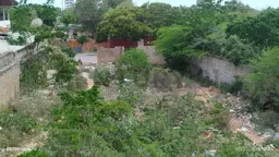 Vista 9