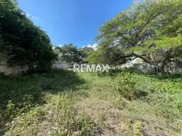 Vista 9