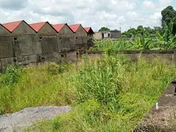 Vista 1