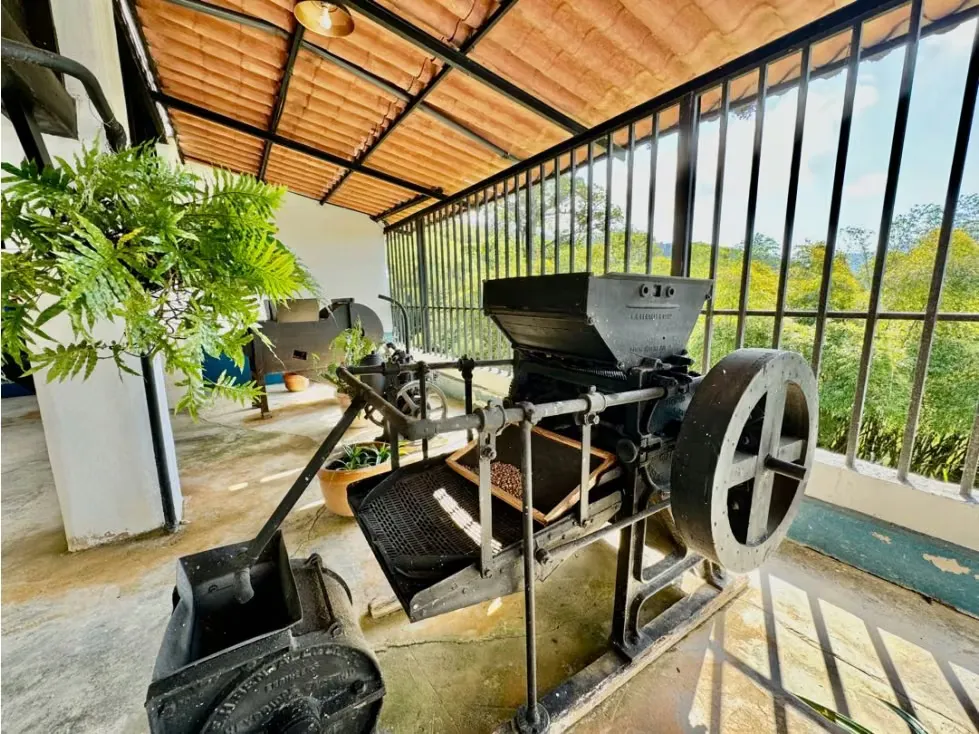 Se vende finca 19 hectareas San Casimiro - 15