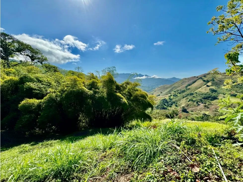 Se vende finca 19 hectareas San Casimiro - 5