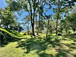 View 79