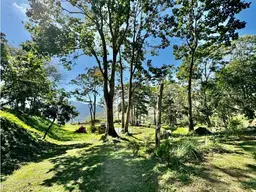 View 80