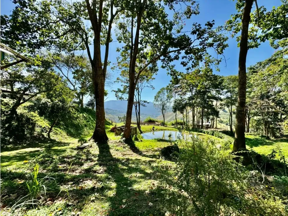 Se vende finca 19 hectareas San Casimiro - 81