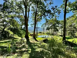 View 81