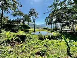View 83