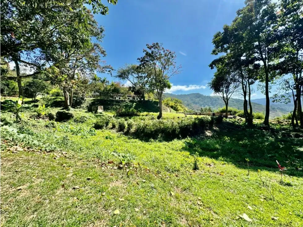 Se vende finca 19 hectareas San Casimiro - 84