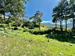 View 84