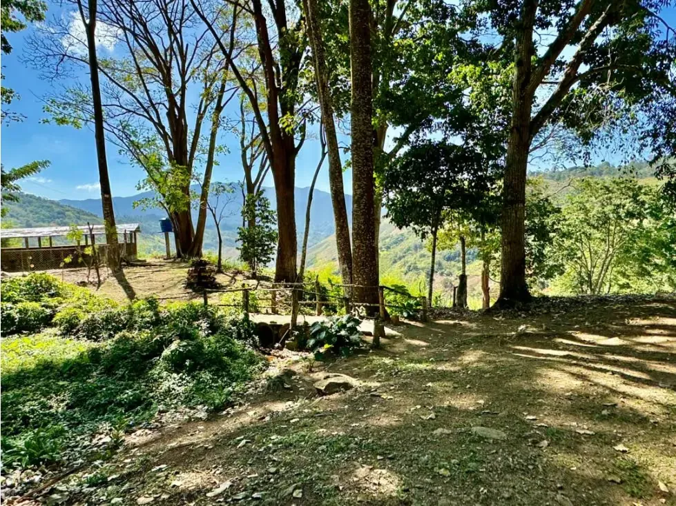 Se vende finca 19 hectareas San Casimiro - 85