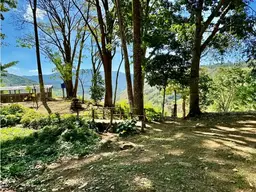 View 85